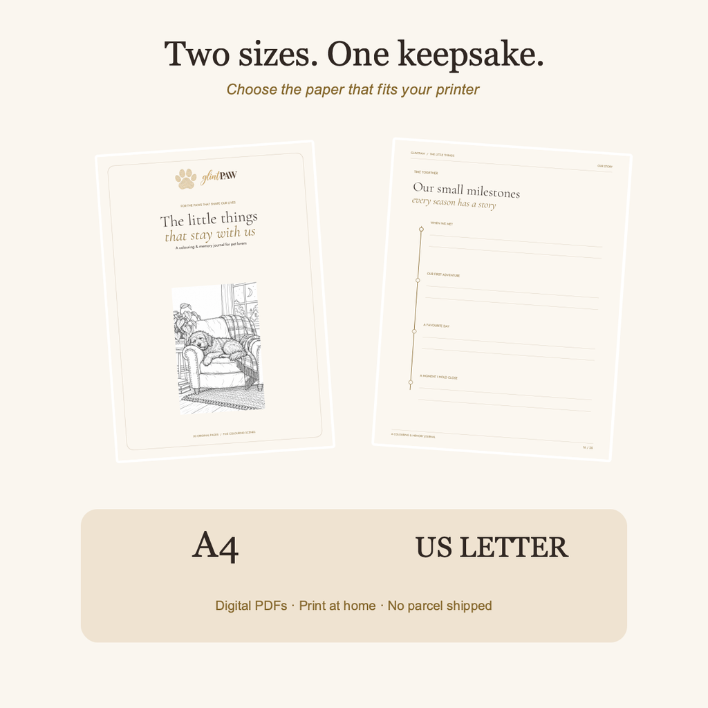 A4 and US Letter journal page previews; two downloadable PDF paper sizes