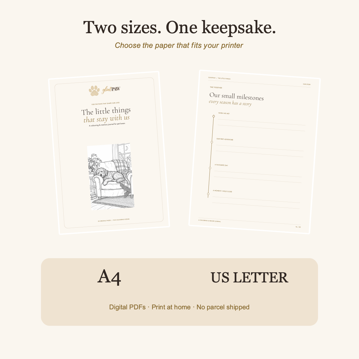 A4 and US Letter journal page previews; two downloadable PDF paper sizes