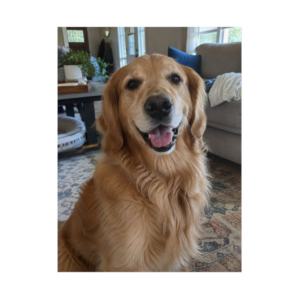 Sample golden retriever photograph printed on the matte 12 × 16 inch Jondo poster